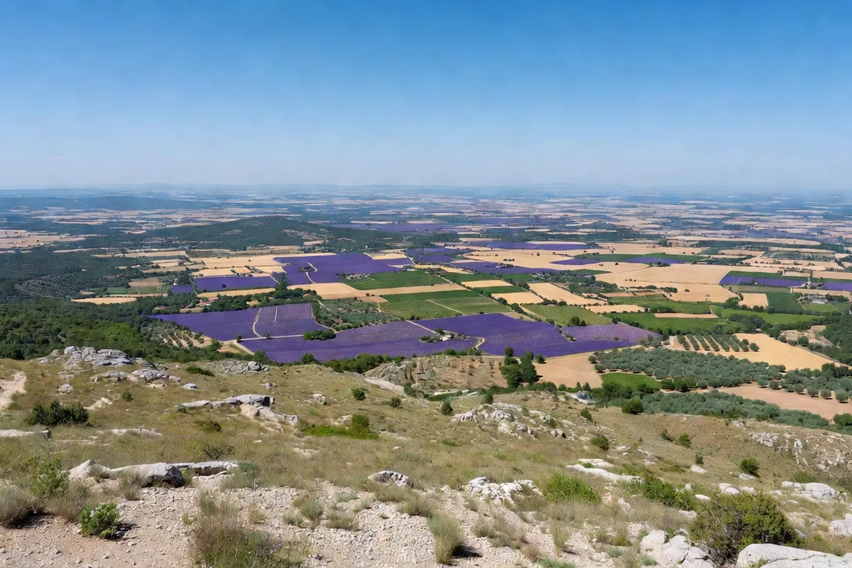 Vue panoramique depuis le versant sud du Mont Ventoux vers la plaine du Vaucluse